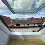 Apartamento Rebenblick Dachsuite In Historischem Gebaeude Aus 1840 Ruppertsberg