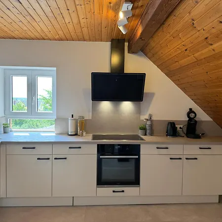 Rebenblick Dachsuite In Historischem Gebaeude Aus 1840 Ruppertsberg