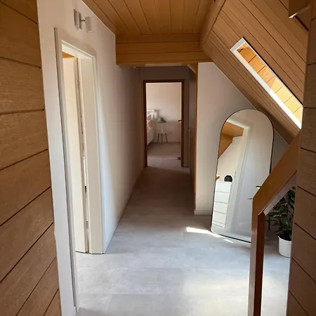 Rebenblick Dachsuite In Historischem Gebaeude Aus 1840 Ruppertsberg