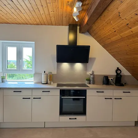 Rebenblick Dachsuite In Historischem Gebaeude Aus 1840 Apartamento *