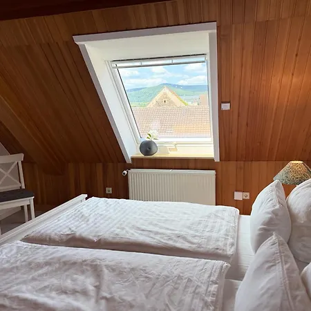 Rebenblick Dachsuite In Historischem Gebaeude Aus 1840 Apartament *