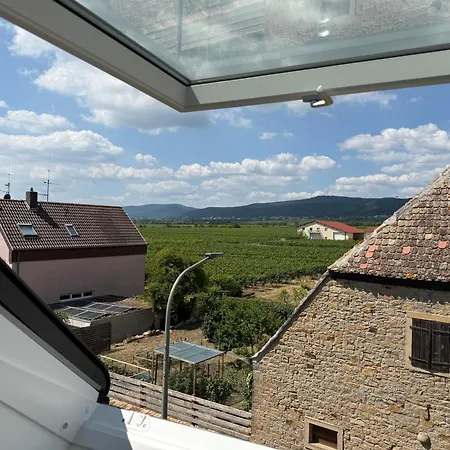 Rebenblick Dachsuite In Historischem Gebaeude Aus 1840 Apartament Ruppertsberg