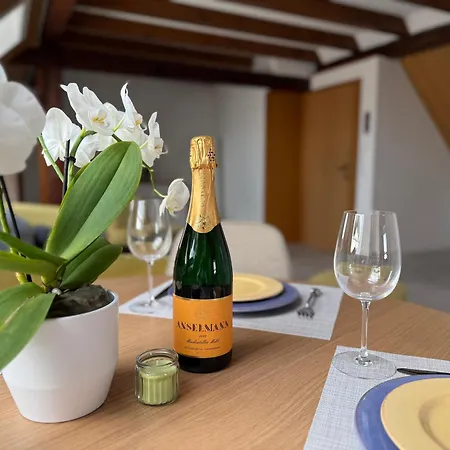 Lägenhet Rebenblick Dachsuite Mit Kulinarischen Extras Auf Wunsch