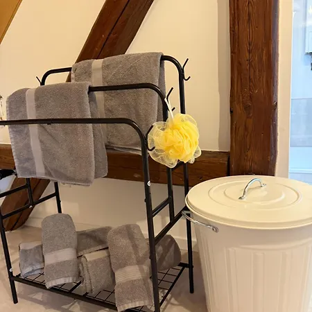 Apartamento Rebenblick Dachsuite In Historischem Gebaeude Aus 1840 Ruppertsberg