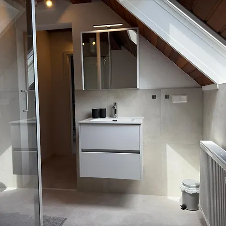 Rebenblick Dachsuite Mit Kulinarischen Extras Auf Wunsch Appartement