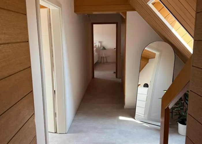 Rebenblick Dachsuite In Historischem Gebaeude Aus 1840 Ruppertsberg