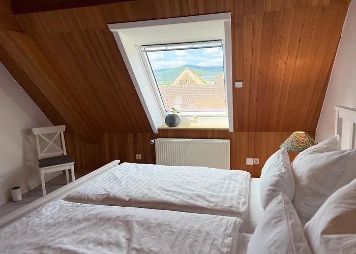 Rebenblick Dachsuite In Historischem Gebaeude Aus 1840 Apartament *