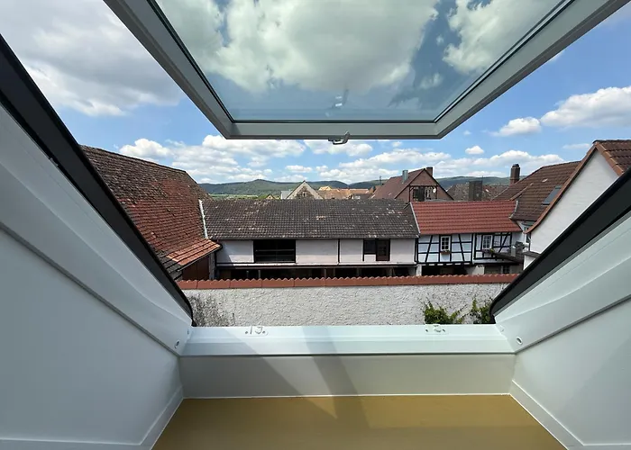 Apartament Rebenblick Dachsuite In Historischem Gebaeude Aus 1840 Ruppertsberg