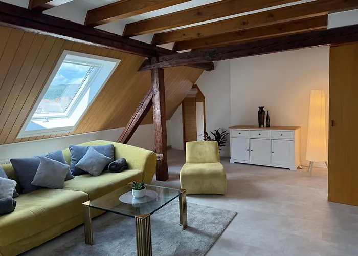 Apartament Rebenblick Dachsuite In Historischem Gebaeude Aus 1840 Ruppertsberg