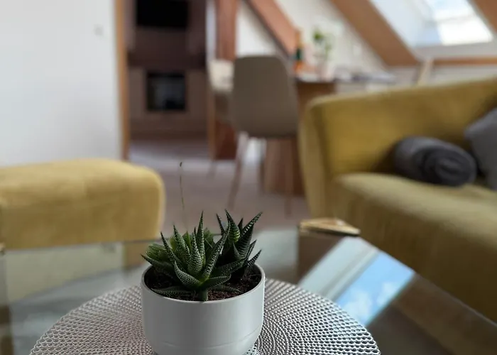 Apartment Rebenblick Dachsuite Mit Kulinarischen Extras Auf Wunsch