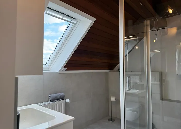 Rebenblick Dachsuite In Historischem Gebaeude Aus 1840 Ruppertsberg