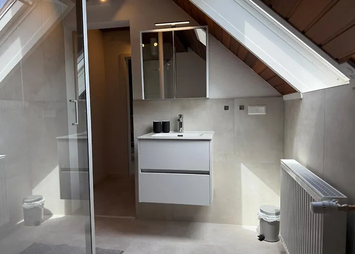 Rebenblick Dachsuite In Historischem Gebaeude Aus 1840 Apartament